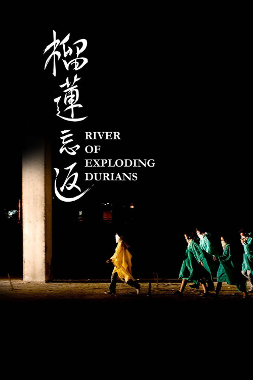 Liu lian wang fan (2014) poster