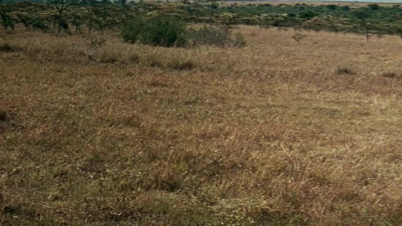 Living Free screenshot 3