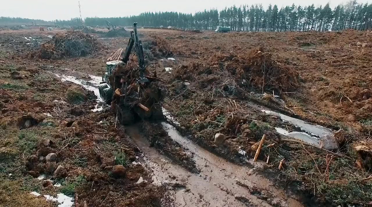 Living the Change: Inspiring Stories for a Sustainable Future screenshot 1