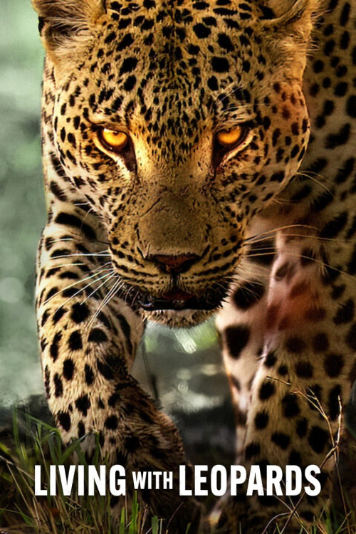 Living with Leopards (2024) poster