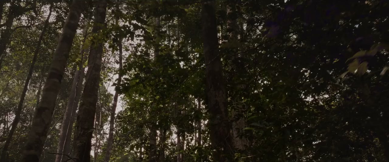 Libang Libu screenshot 2