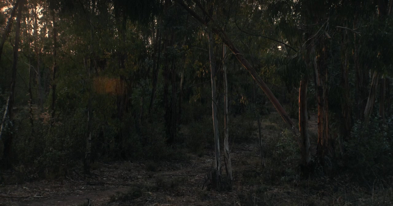 Liberté screenshot 2