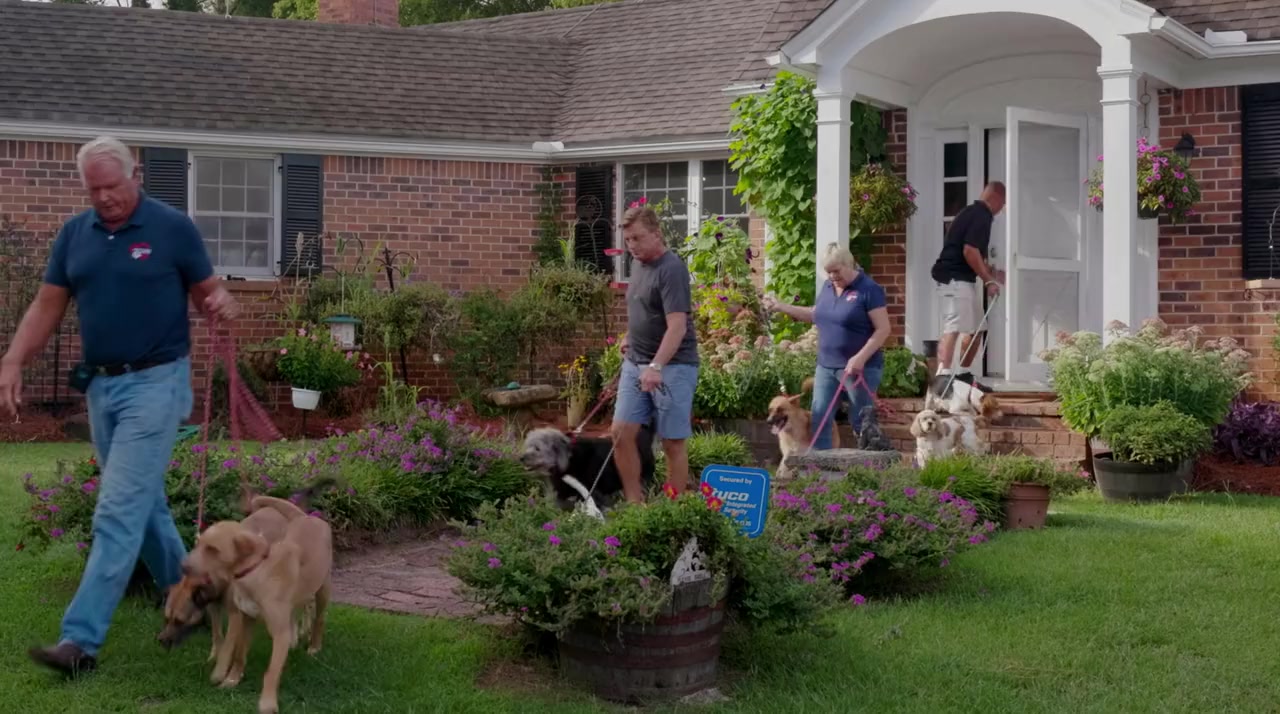Life in the Doghouse screenshot 1
