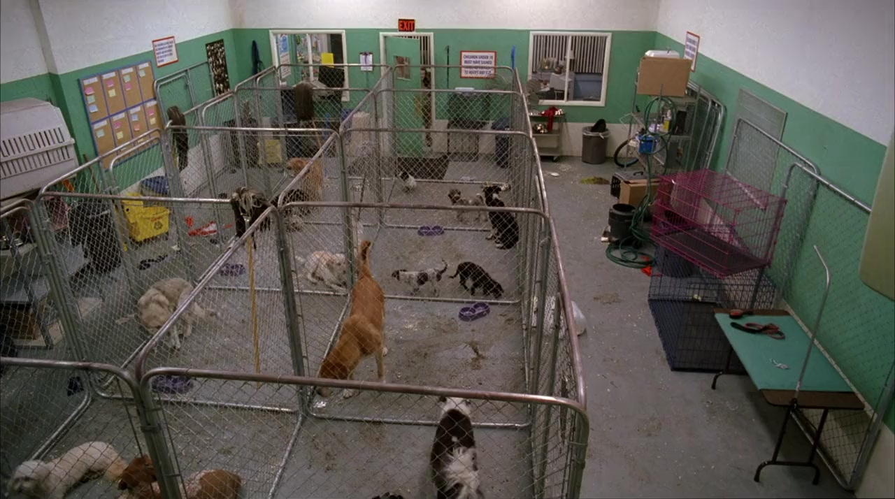 Life Is Ruff screenshot 1