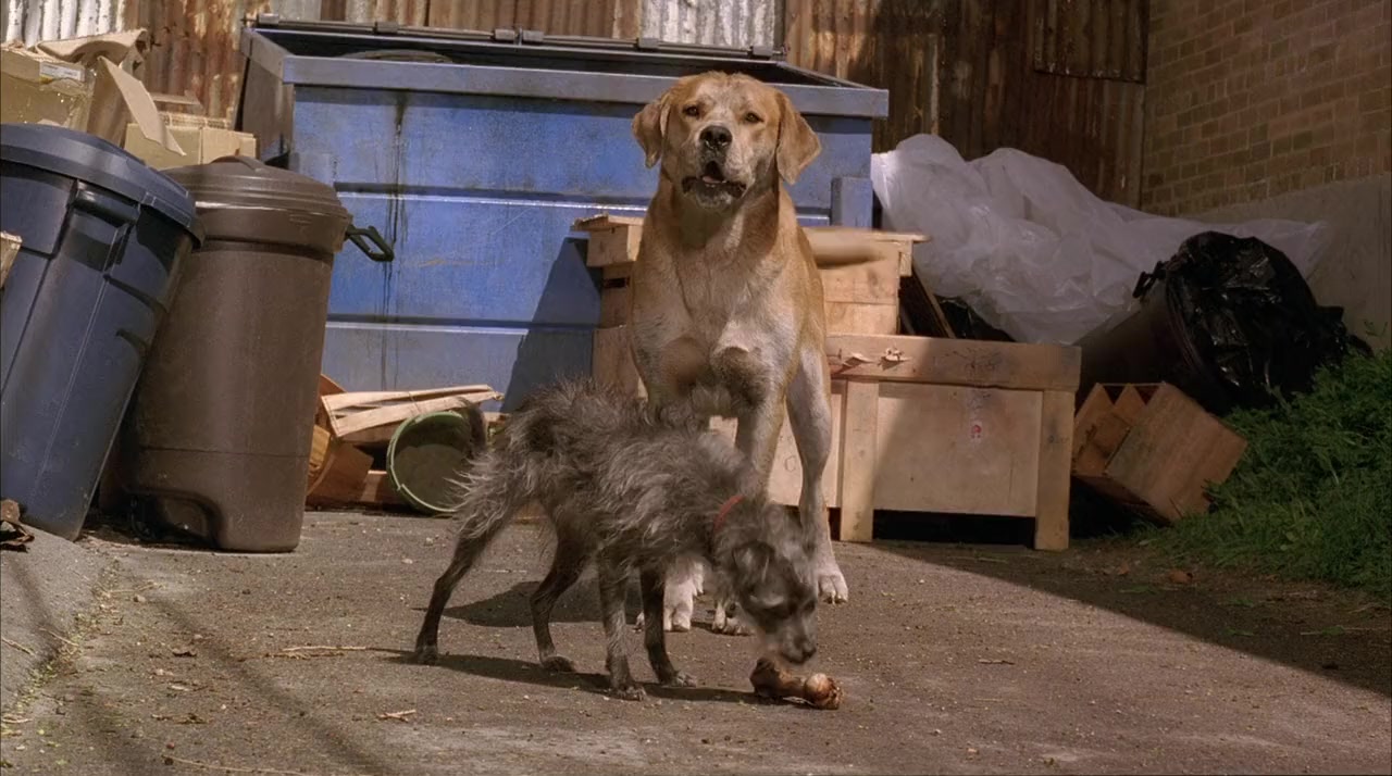 Life Is Ruff screenshot 2