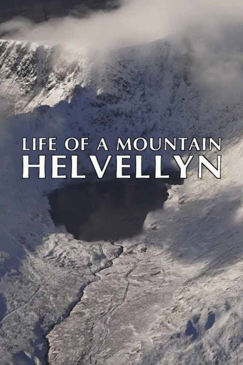 Life of a Mountain: A Year on Helvellyn (2021) poster