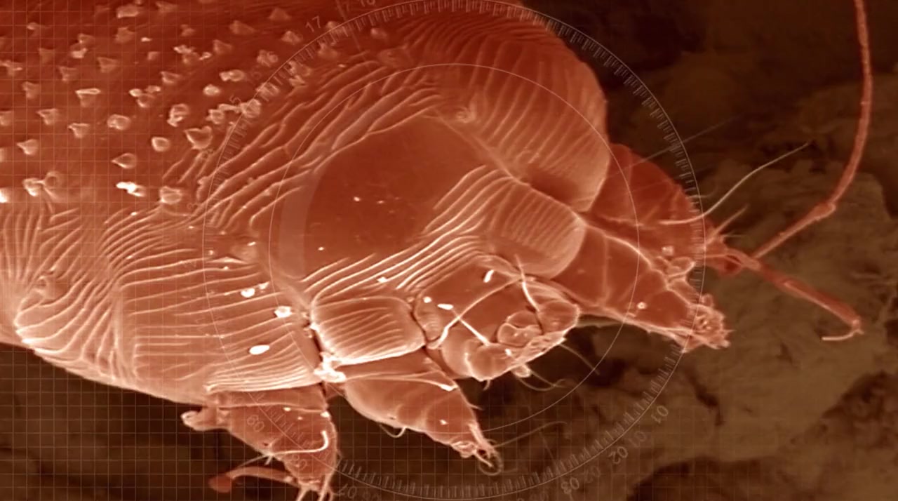 Life on Us: A Microscopic Safari screenshot 2
