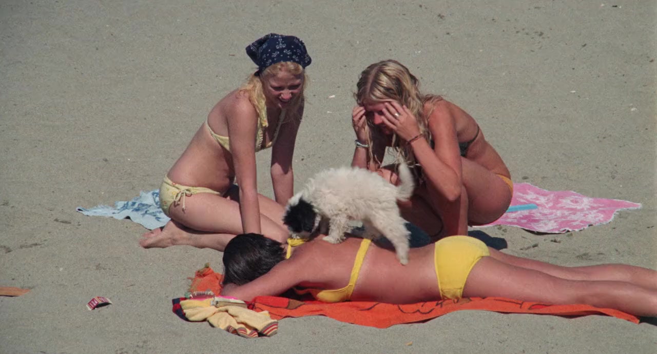 Lifeguard screenshot 3