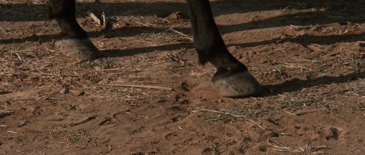 Una nuvola di polvere... un grido di morte... arriva Sartana screenshot 1
