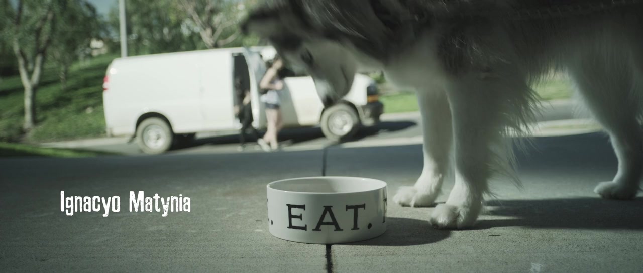 Like Dogs screenshot 1
