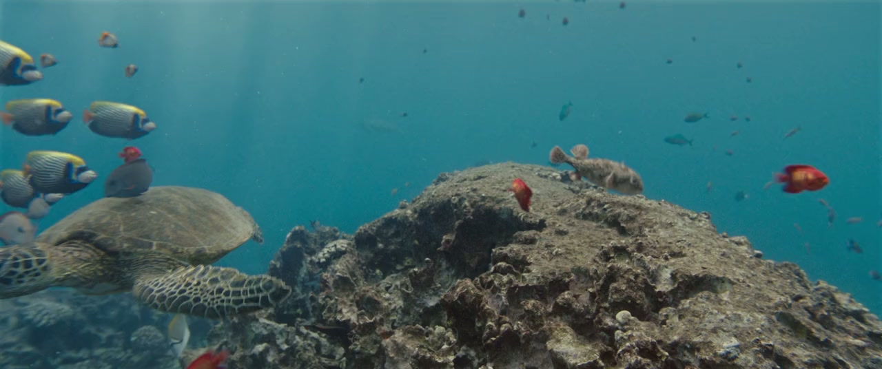 Lilo & Stitch screenshot 2