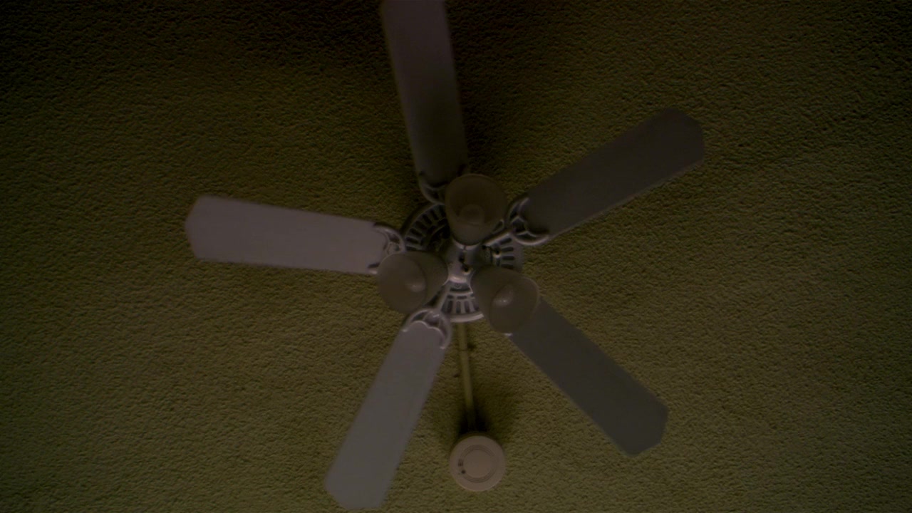 Lime Salted Love screenshot 1