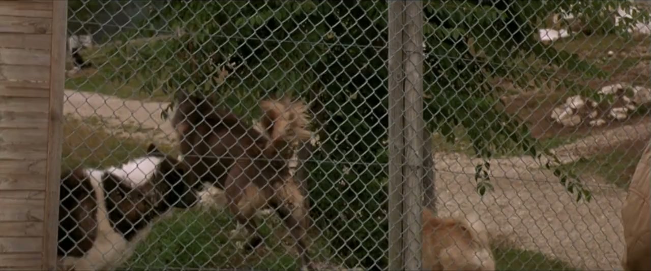 L'Intruso screenshot 3
