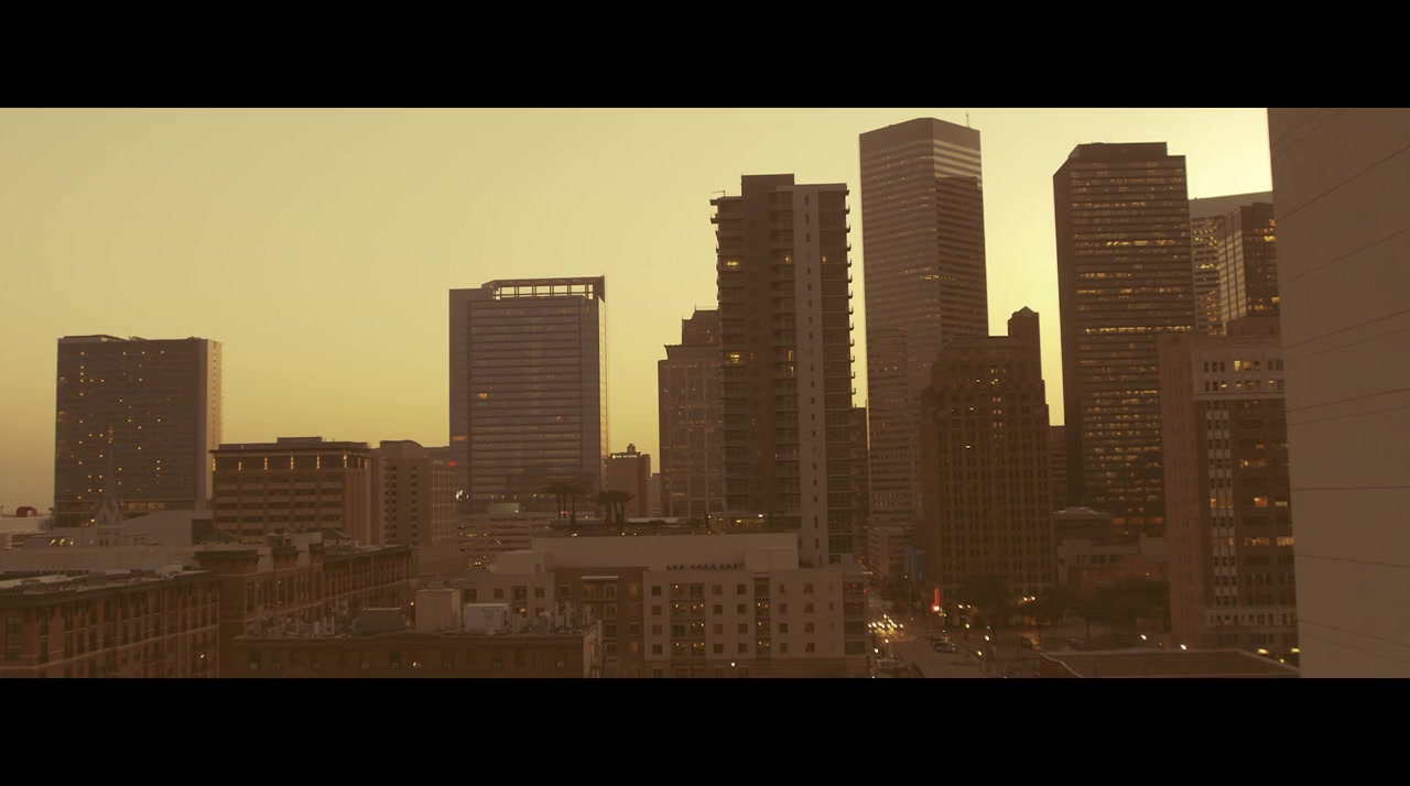 Lion Killer screenshot 3