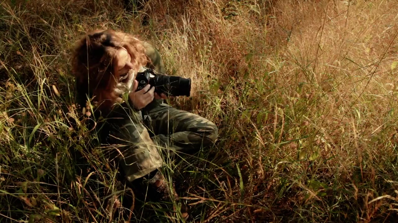 Lion Spy screenshot 1