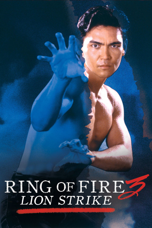 Lion Strike (1994) poster
