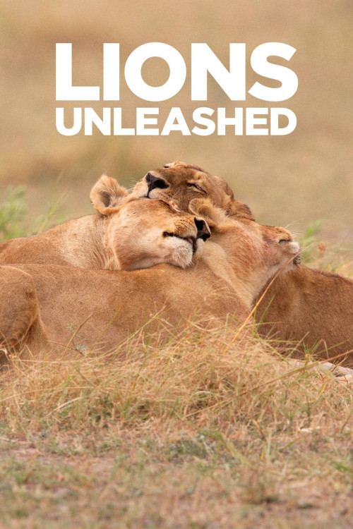 Lions Unleashed (2017) poster