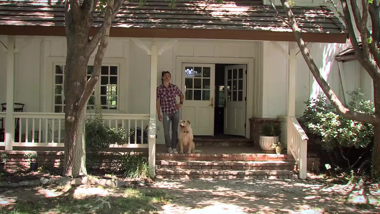 Lucky Dog screenshot 1