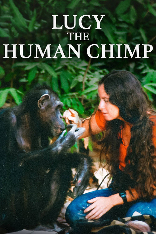 Lucy, the Human Chimp (2021) poster