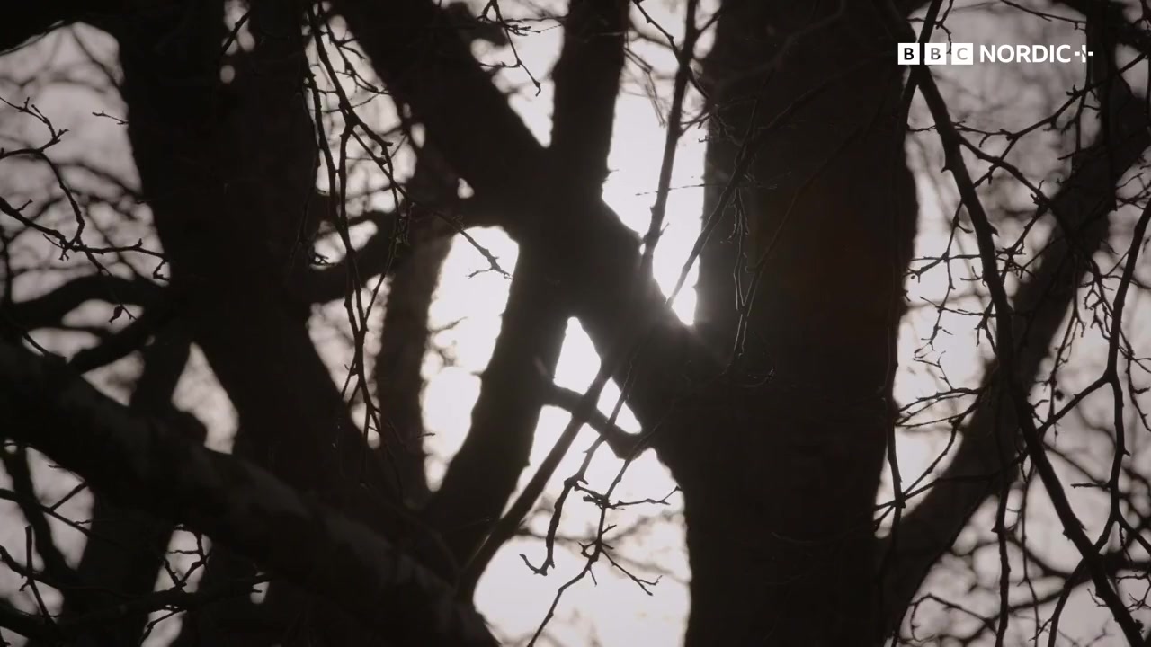 Lucy Worsley's Christmas Carol Odyssey screenshot 3