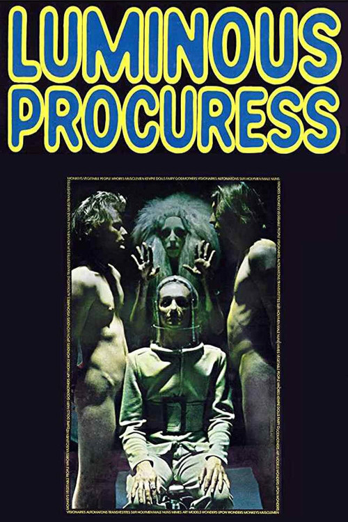 Luminous Procuress (1971) poster