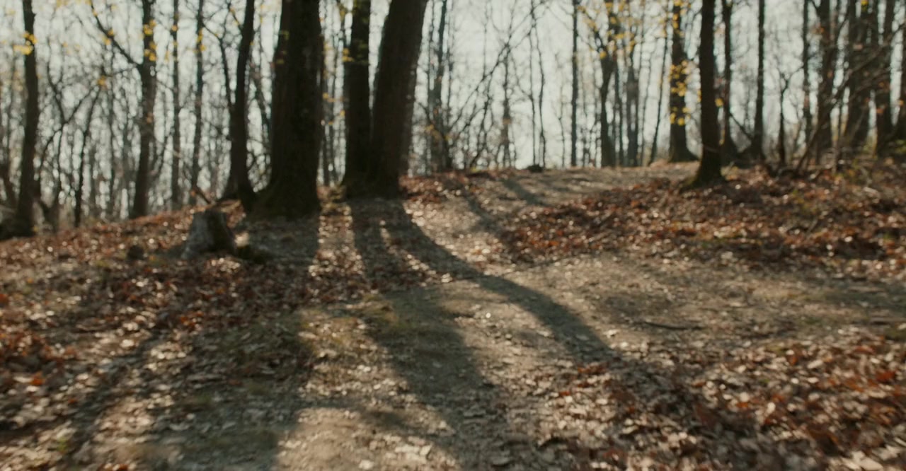L'uomo sulla strada screenshot 2