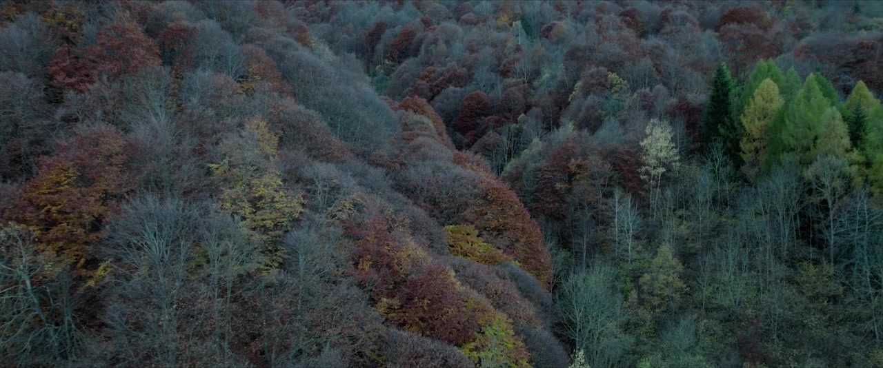 Lupi nostri screenshot 2