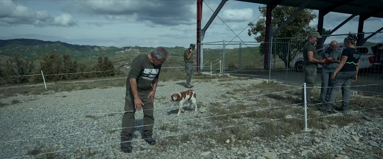Lupi nostri screenshot 3
