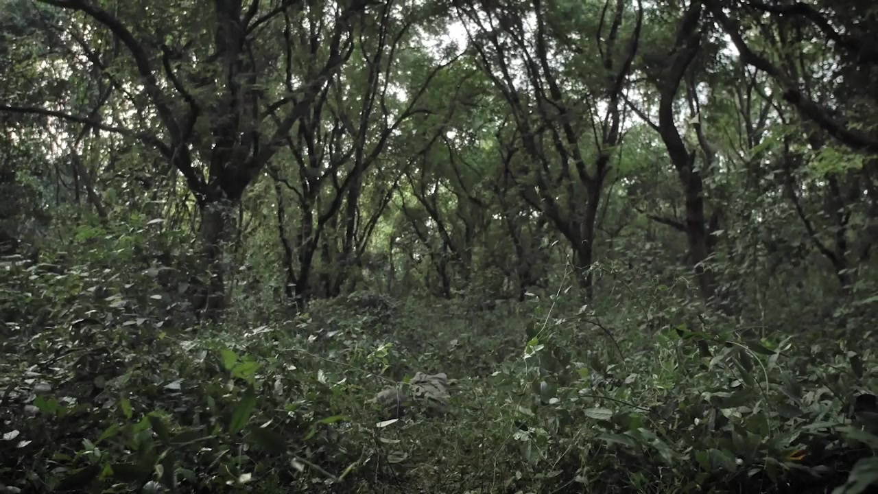 M.I.A. A Greater Evil screenshot 1