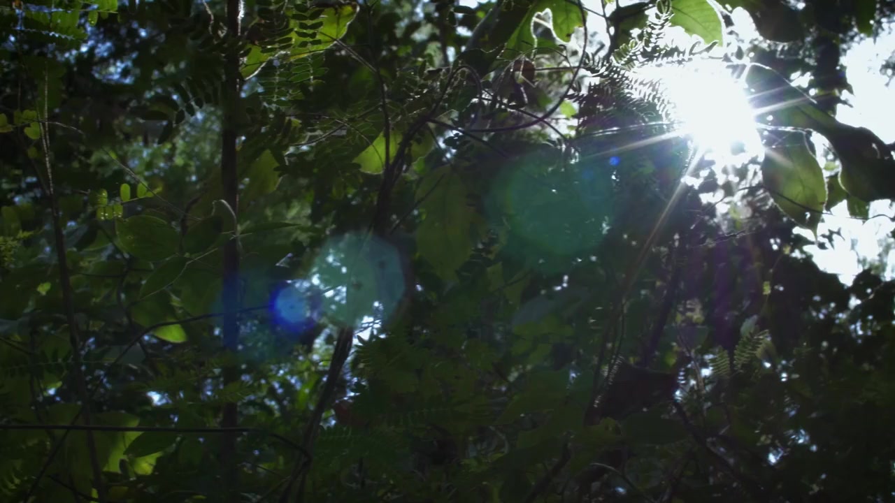 M.I.A. A Greater Evil screenshot 2