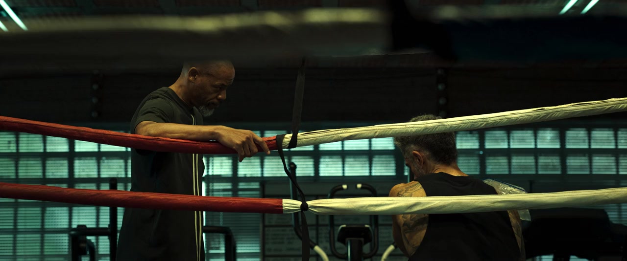 MMA: Meu Melhor Amigo screenshot 3
