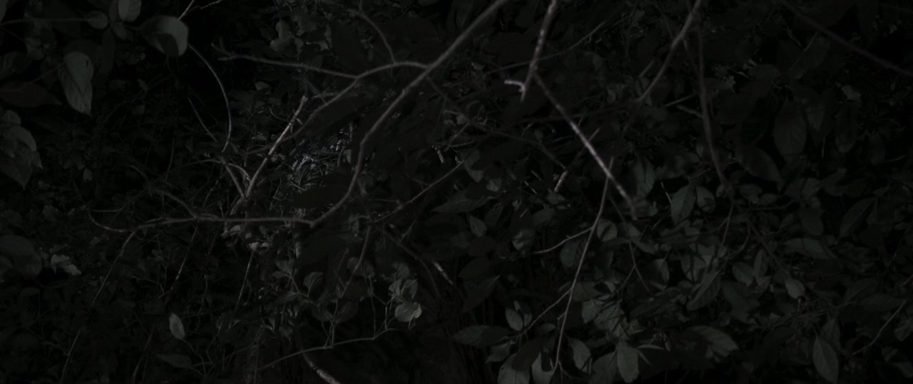 Motel Acacia screenshot 2