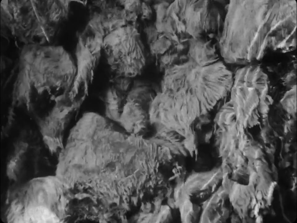 Mother, I Am Suffocating. This Is My Last Film About You. screenshot 3