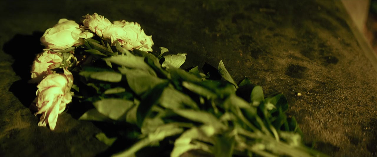 Dzien Matki screenshot 3