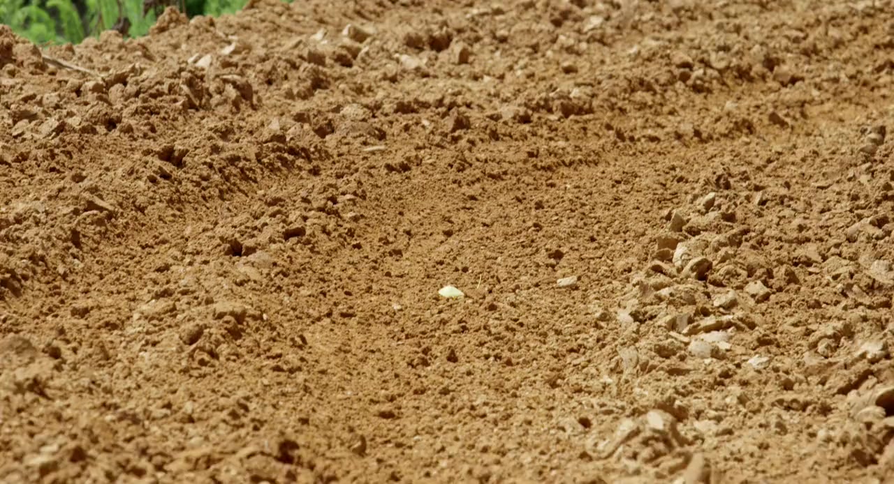 Moto 10: The Movie screenshot 2