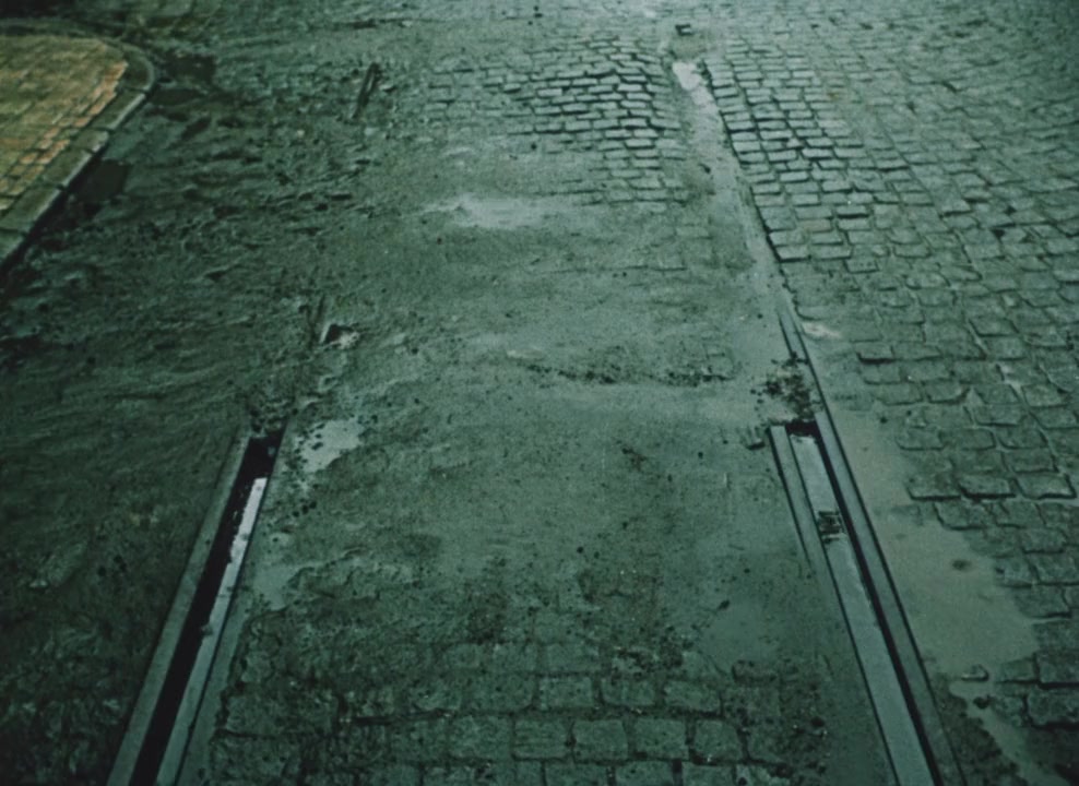 Motýli tady nezijí screenshot 3