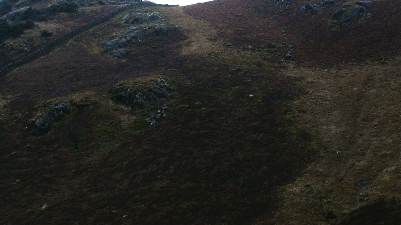 Mountain Shark screenshot 3