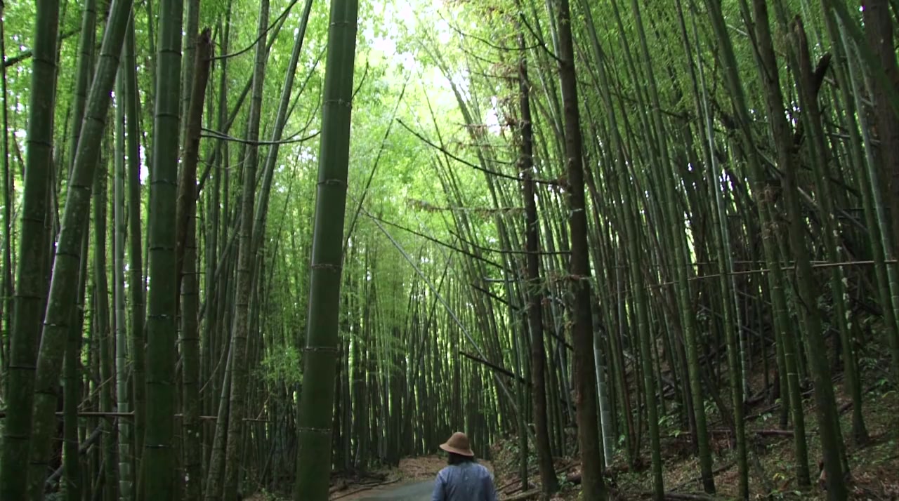 Shan ling screenshot 3