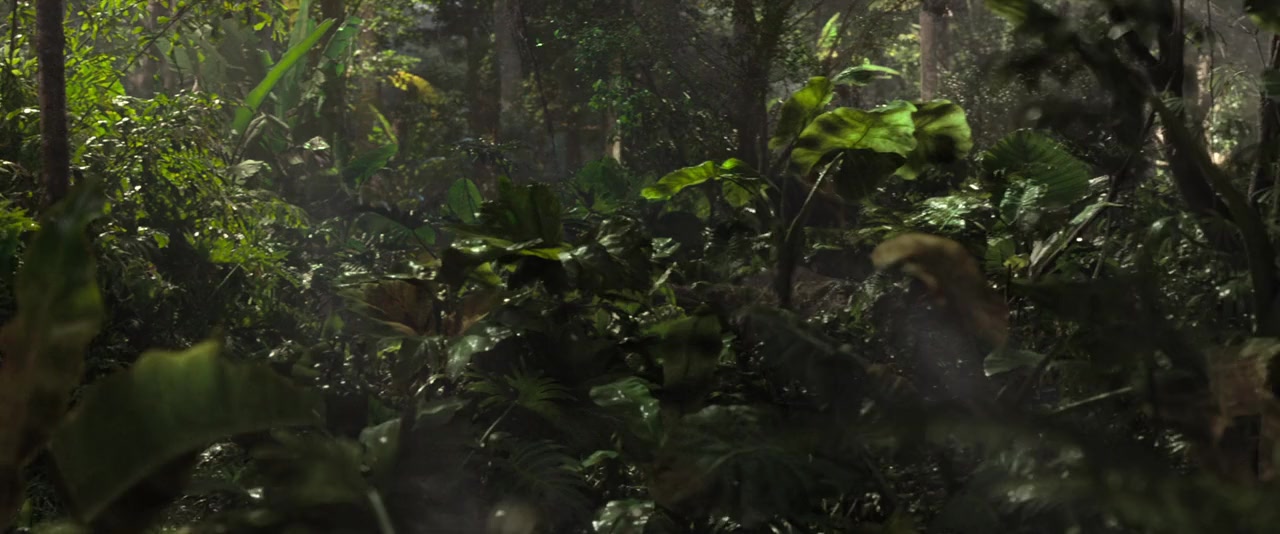 Mowgli screenshot 1