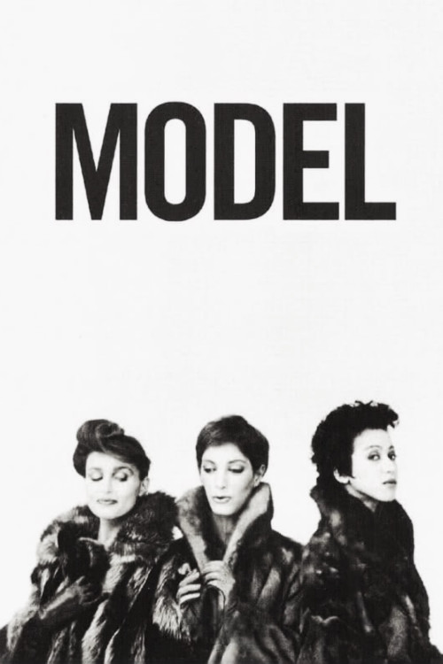Model (1981) poster