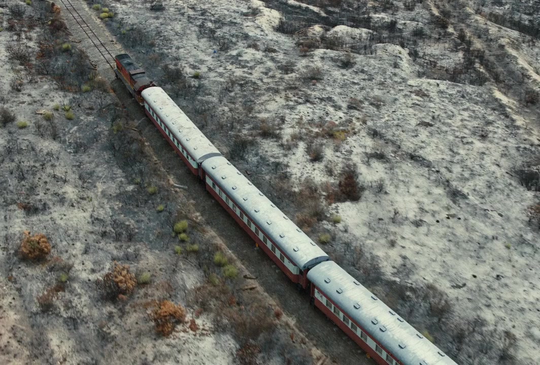 Moffie screenshot 1
