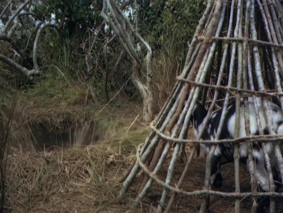 Mogambo screenshot 1