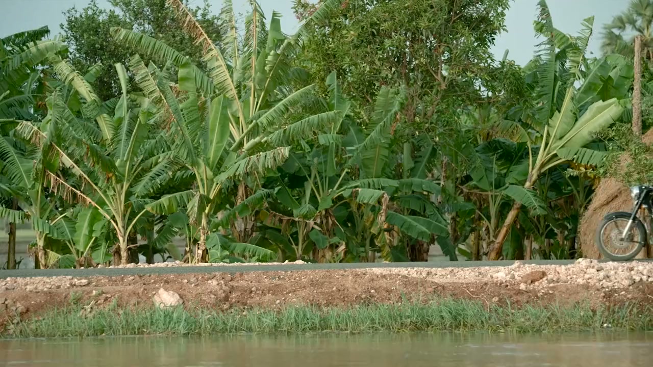 Mohankrishnas Gang Leader screenshot 1