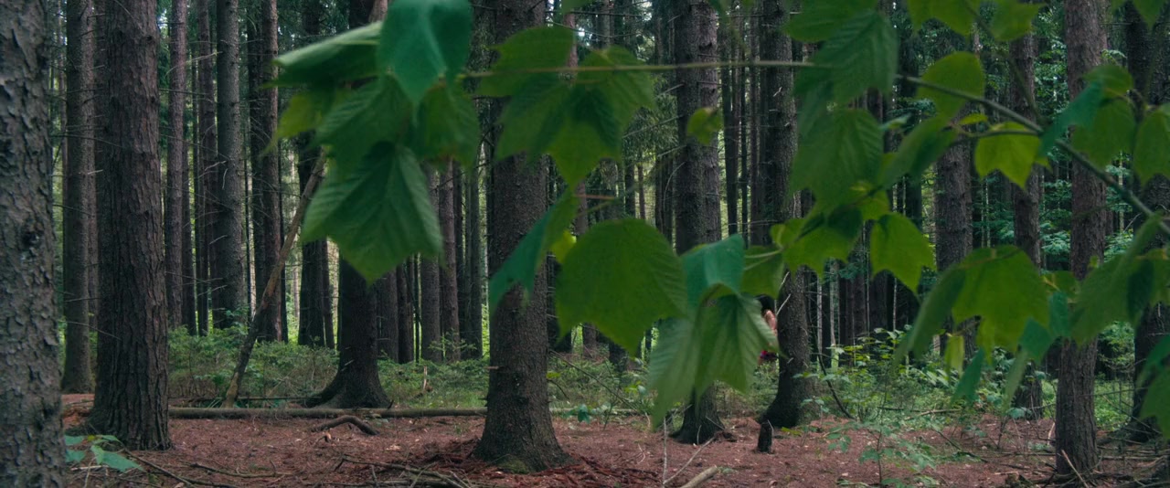 Mohawk screenshot 2