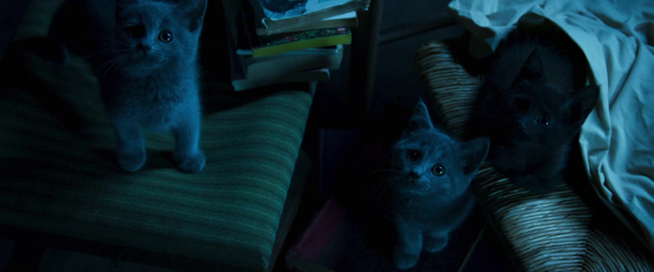 Mon chat et moi, la grande aventure de Rroû screenshot 1