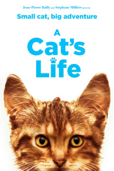 Mon chat et moi, la grande aventure de Rroû (2023) poster