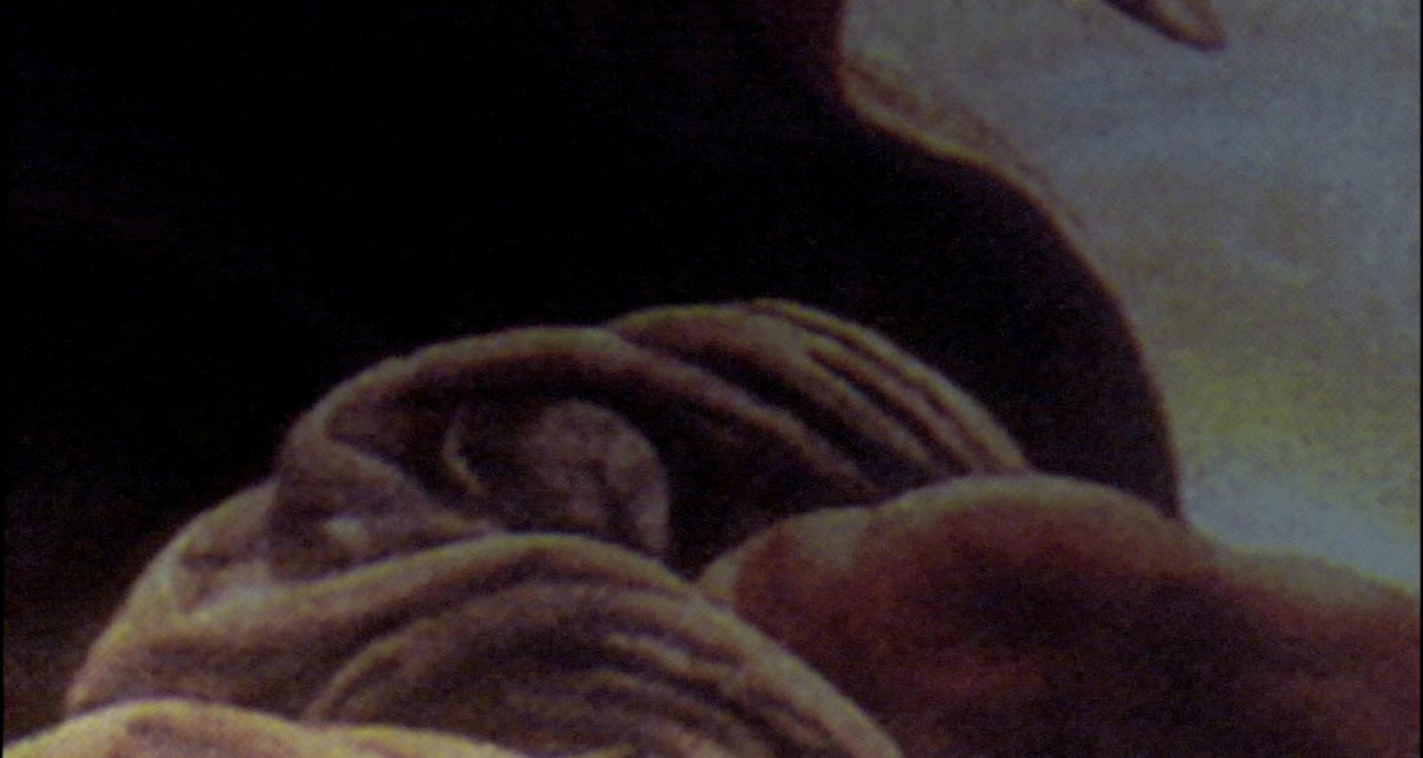 Monamour screenshot 2