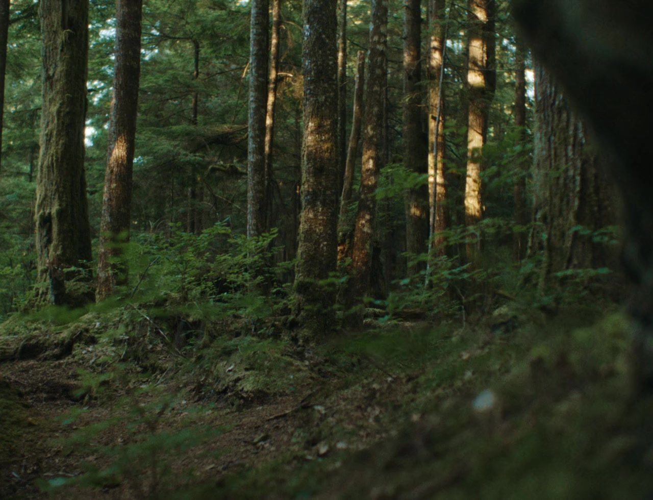 Mongrels screenshot 2