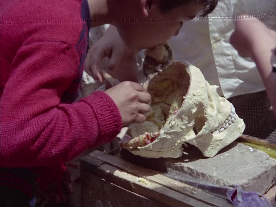 Mondo cane n. 2 screenshot 1