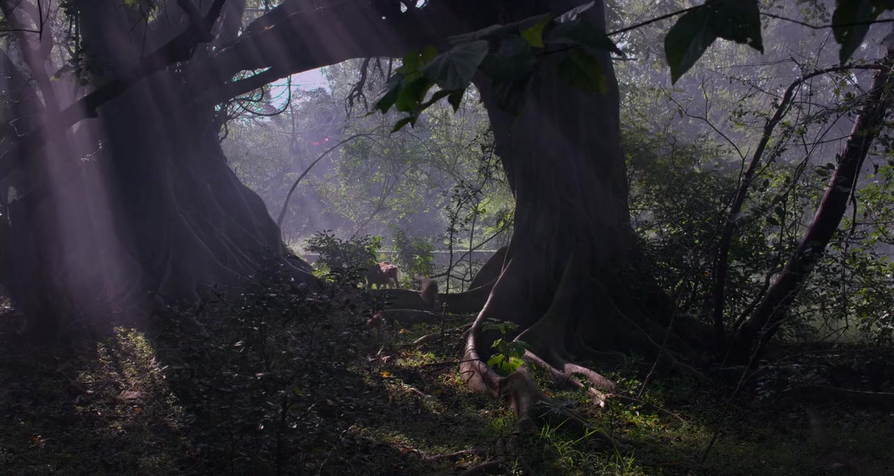 Monkey Kingdom screenshot 3
